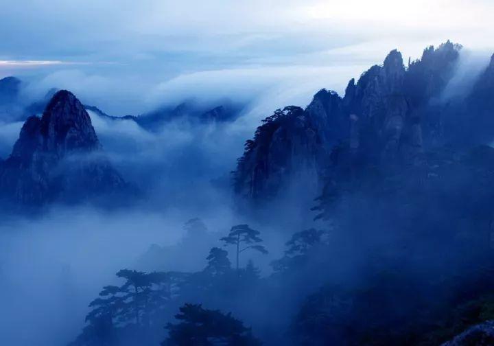 关系硬!哈姆回应解雇:我和珍妮、佩林卡同一阵线引热议